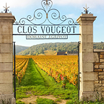 Journée vélo et vin en Cote de Nuits - NUITS-SAINT-GEORGES