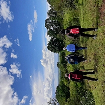 Circuit pédestre des Pelouses  - BUCEY-LES-GY