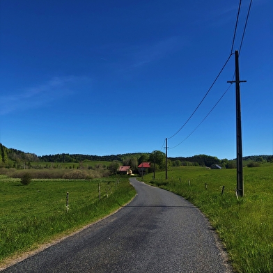 Circuit vélo : Du col du Ballon à la Combe de Léchaud