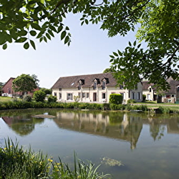 holistica bien être - SAINT-FARGEAU