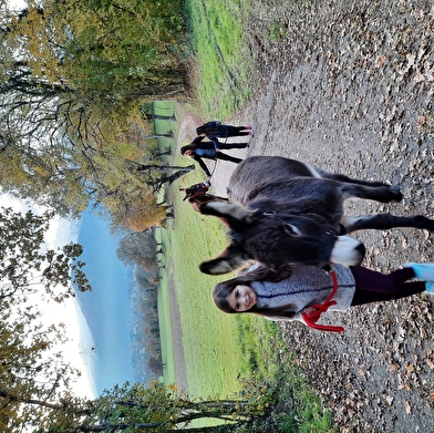 Séjour en itinérance dans le Haut-Jura, au pas de l'âne
