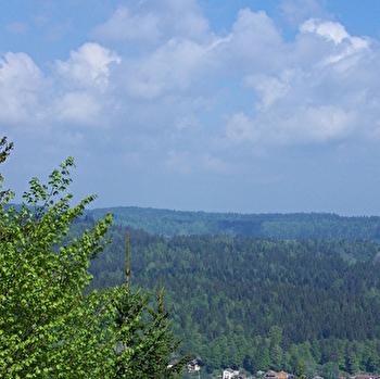 La Côte - n° 7 - MONTPERREUX