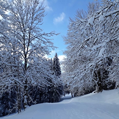 Piste multi-activités : le Niaizet