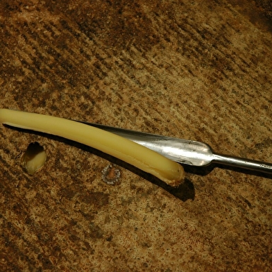 Caves d'affinage du Fort de Saint-Antoine