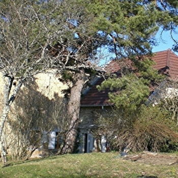 Danielle Giboudeau - ABERGEMENT-LE-GRAND