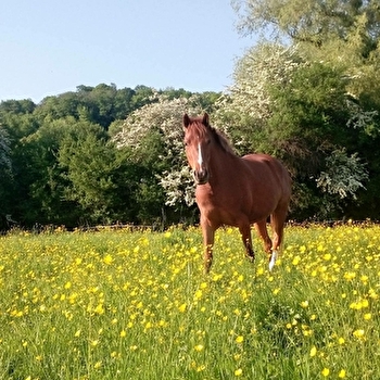 Les Ecuries de Saint-Paul - BESANCON