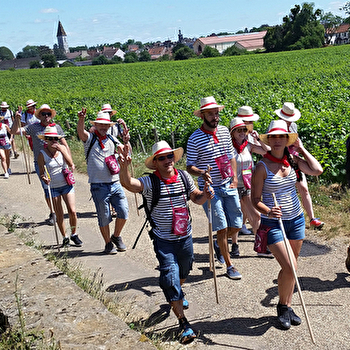Chemin Gourmand de Nuits-Saint Georges - NUITS-SAINT-GEORGES