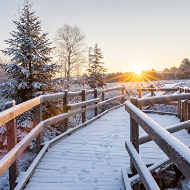 40 ans en réserve naturelle : quelles avancées ?  
