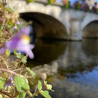 Balade urbaine au fil de la Loue