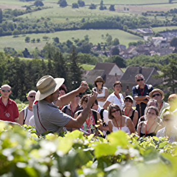 OeNolay Tour - NOLAY