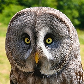 Jurafaune - HAUTEROCHE