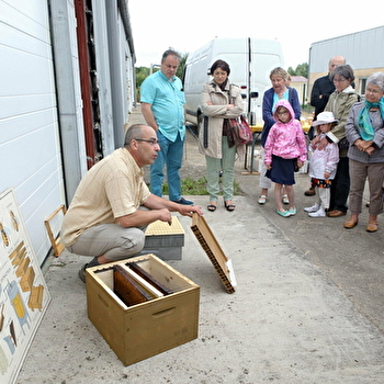 Miellerie Les Ruchers de Borne - LADOIX-SERRIGNY