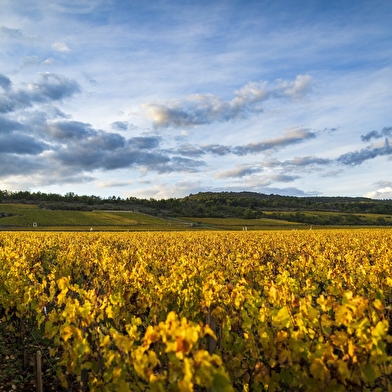 Olivier Leflaive - Hôtel 4****