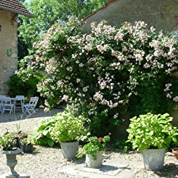 Chez Delphine - LONGWY-SUR-LE-DOUBS