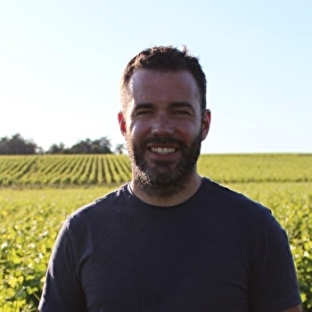 Domaine du Bouchot - SAINT-ANDELAIN