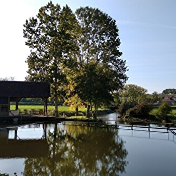 Aire de pique-nique - LUGNY-LES-CHAROLLES