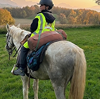 La Genette et la Salamandre - VAL SURAN