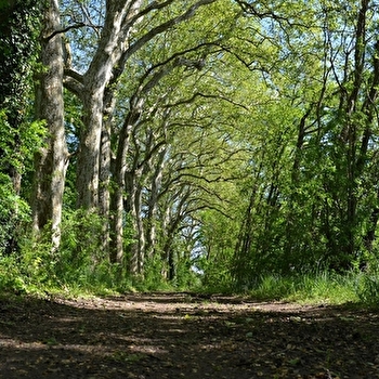 Sentier du réservoir des Pointes - AUXONNE