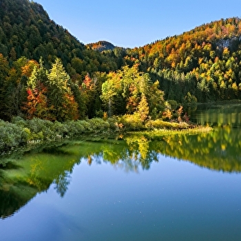 Tour des Cinq Lacs - 63R - LE FRASNOIS