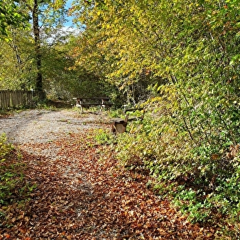 Sentier Botanique de Rurey - RUREY