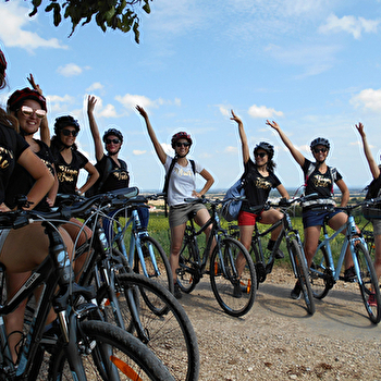 Vélovitamine - AVOSNES