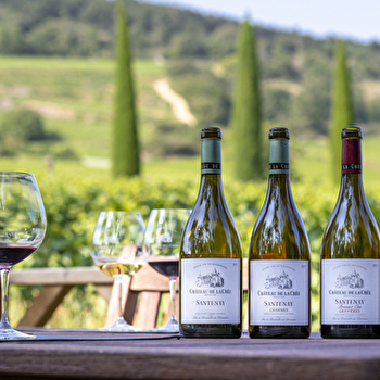 Les Climats - Château de la Crée - SANTENAY