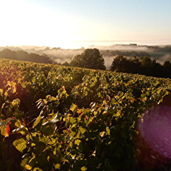Domaine de Vauroux - CHABLIS