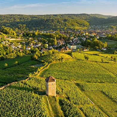 Boucle 20 : Le Vignoble