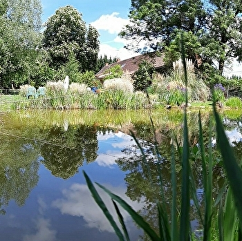 Le Jardin Sans Secrets - MENETREUIL