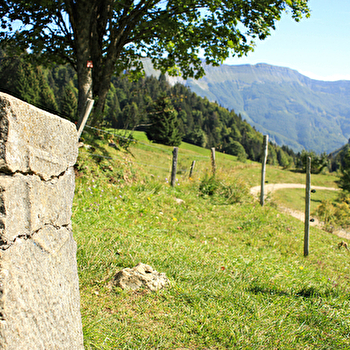 Borne au Lion - Crêt de Chalam - CHAMPFROMIER