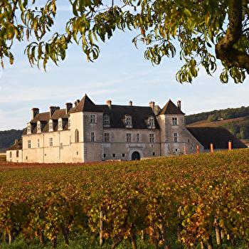 Instants millésimés - NUITS-SAINT-GEORGES