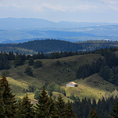 Borne au Lion - Crêt de Chalam