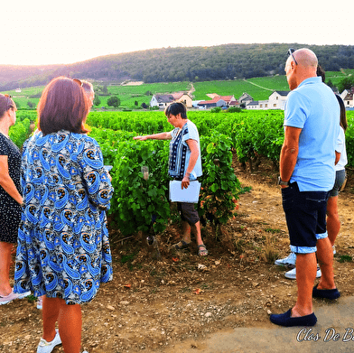 Balade oeno-sensorielle -découverte des secrets vins de Bourgogne