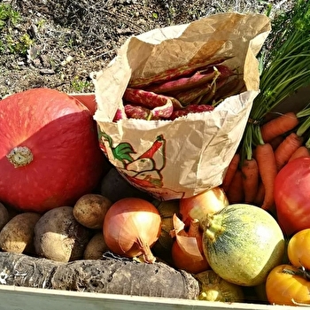 Ferme de Vézelay Terroirs - SAINT-PERE