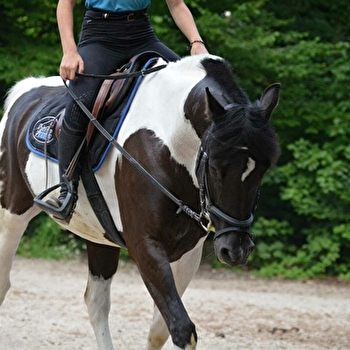Centre équestre de Chalain - DOUCIER
