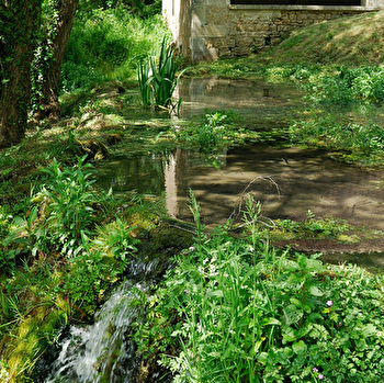 Chemin des écrivains : Romain Rolland - BREVES