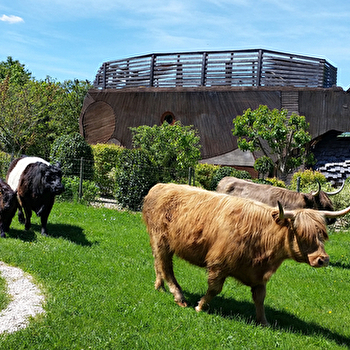Vache Ecolodge - TOULON-SUR-ARROUX