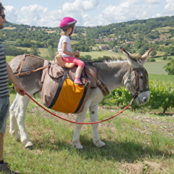 Des Anes et des Abeilles - BRAY