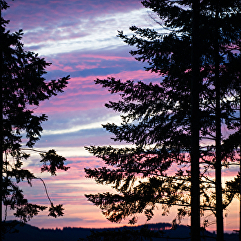 Aire de pique-nique - LA TAGNIERE