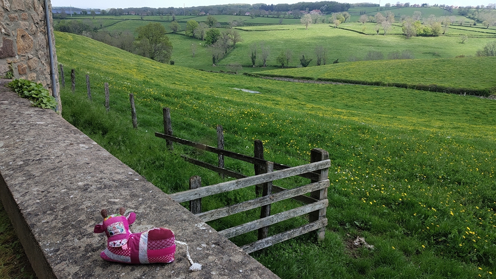 Jeu famille - A la recherche de Christophine