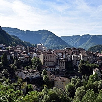 Ligne des Hirondelles de Saint-Laurent à Saint-Claude - Offre groupe - SAINT-LAURENT-EN-GRANDVAUX