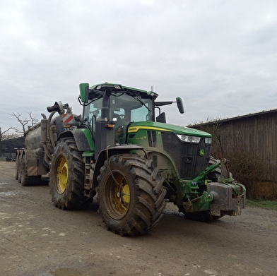 Secrets d’élevage : une immersion grandeur nature à la ferme