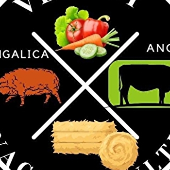 Vergey Élevage et Culture - LONGECHAUX