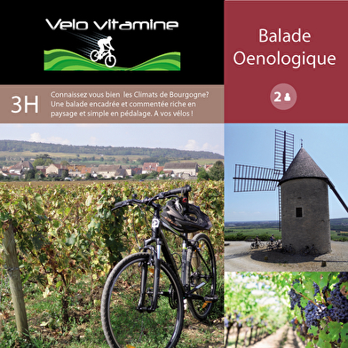 Velovitamine Balades oenologiques 'Côte de Nuits Grand Cru' de Nuits-St-Georges à Gevrey Chambertin