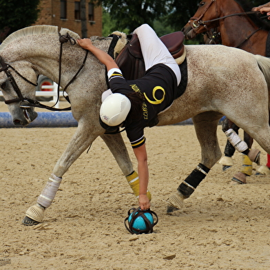 Championnat de France féminin  - Horse Ball Pro Elite