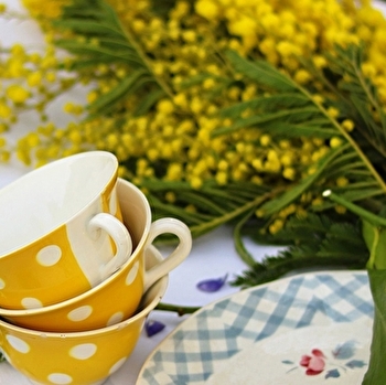 Fayencez-vous! Rendez-vous céramique en Grand Charolais #3 - DIGOIN