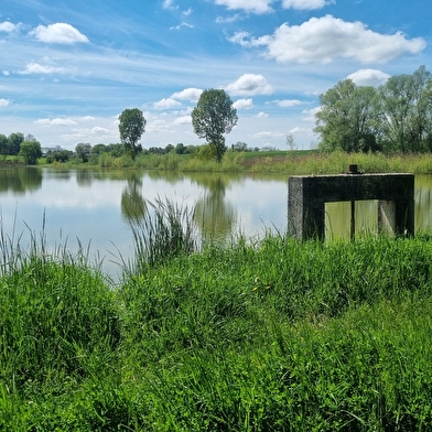 Circuit Gravel n°25 (rouge) Comté de Montrevel - Domaine du Sougey