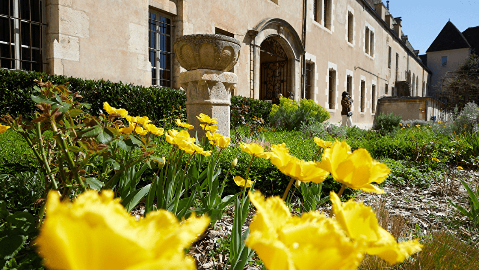 Hôtel-Dieu - Hospices de Beaune
2026 - MOUVEMENT(S)
[ATELIER GUSTATIF] Saveurs du soin