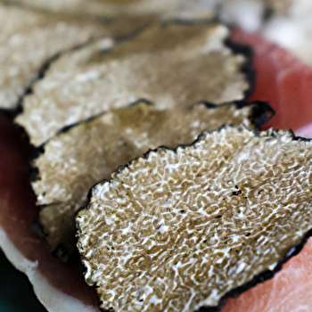 Maison aux Mille Truffes - MAREY-LES-FUSSEY