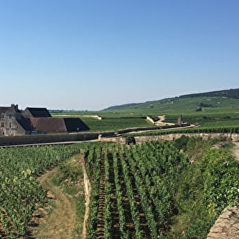 Oenotourisme sur La Route des Grands Crus - MARSANNAY-LA-COTE